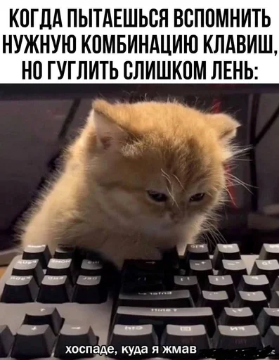 🌟 Стикер «IT2» для Telegram
