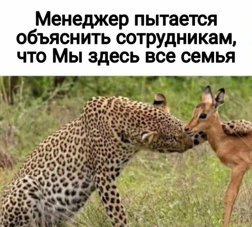 🌟 Стикер «IT2» для Telegram