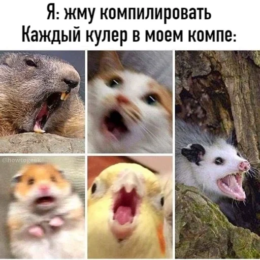 🌟 Стикер «IT4» для Telegram