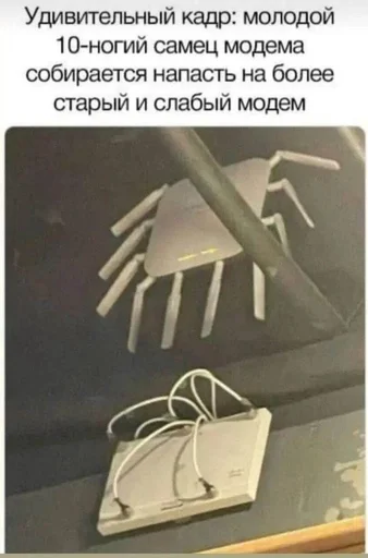 🌟 Стикер «IT4» для Telegram