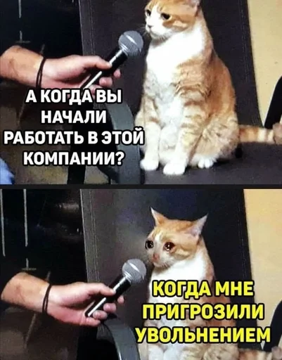 🌟 Стикер «IT4» для Telegram