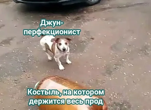 🌟 Стикер «IT4» для Telegram