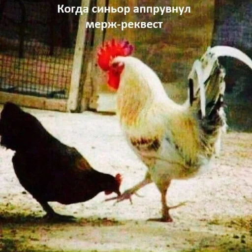 🌟 Стикер «IT4» для Telegram