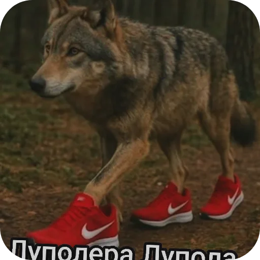 🐶 Стикер «Итальянские мемы» для Telegram