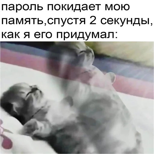 🪽 Стикер «typical it» для Telegram