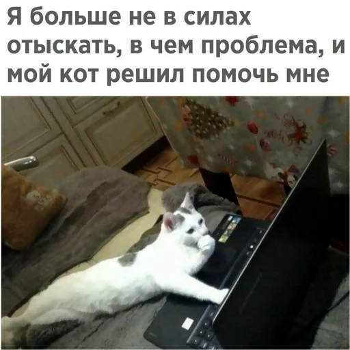 😼 Стикер «typical it» для Telegram