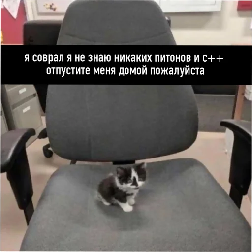 🪑 Стикер «typical it» для Telegram