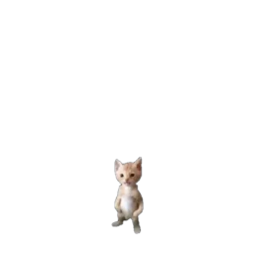 🐱 Стикер «коты флока» для Telegram