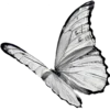 🦋 Эмодзи «it&;s lit 2!» для Telegram