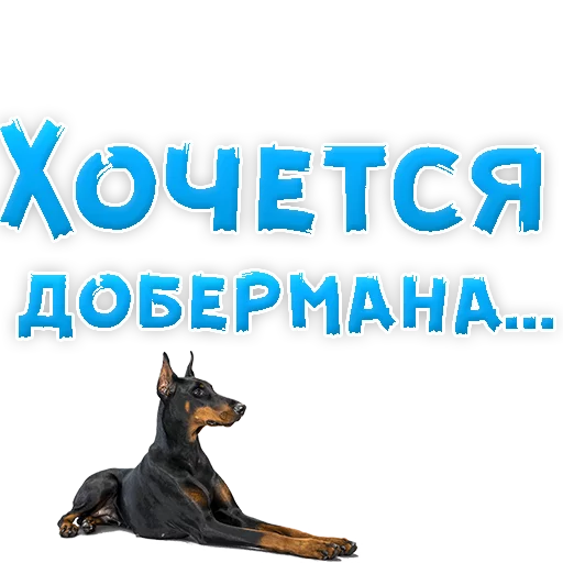 🐶 Стикер «? Хочется» для Telegram