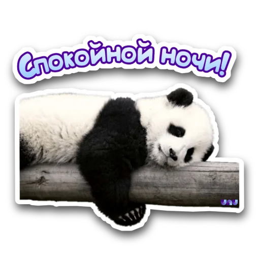 🌃 Стикер «Я работаю на UNU» для Telegram