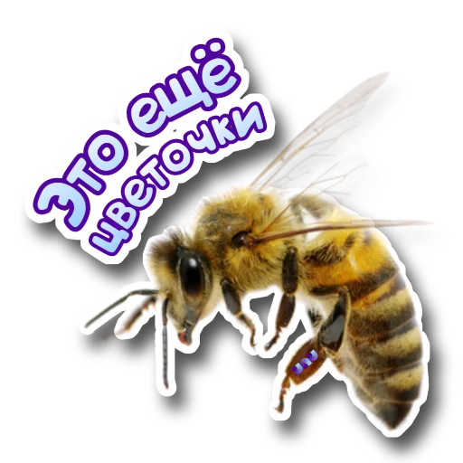 🐝 Стикер «Я работаю на UNU» для Telegram