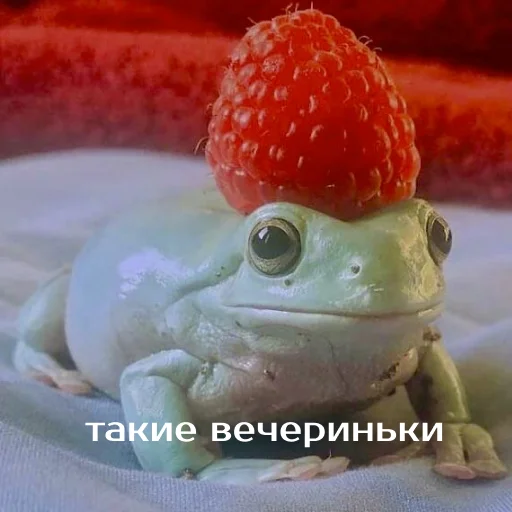 🎉 Стикер «Легущьки «Горящей избы» для Telegram