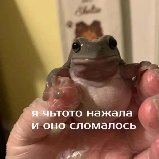 😨 Стикер «Легущьки «Горящей избы» для Telegram