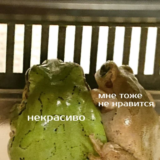 💑 Стикер «Легущьки «Горящей избы» для Telegram