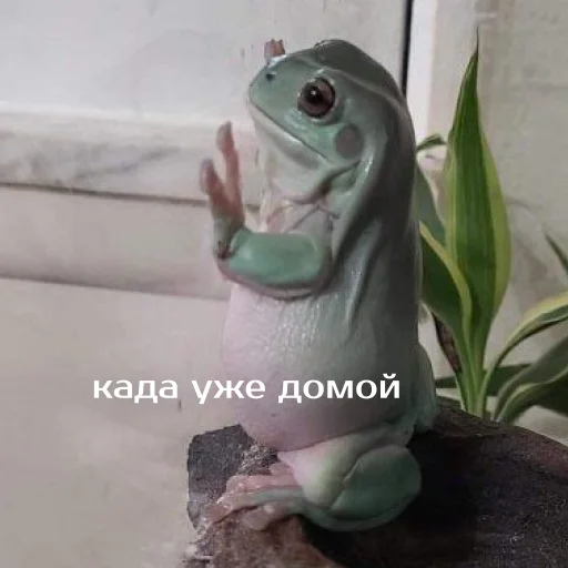 ☹️ Стикер «Легущьки «Горящей избы» для Telegram