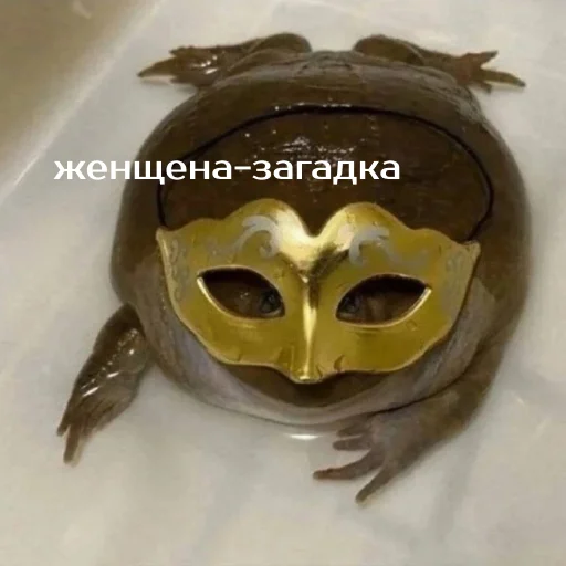 😎 Стикер «Легущьки «Горящей избы» для Telegram