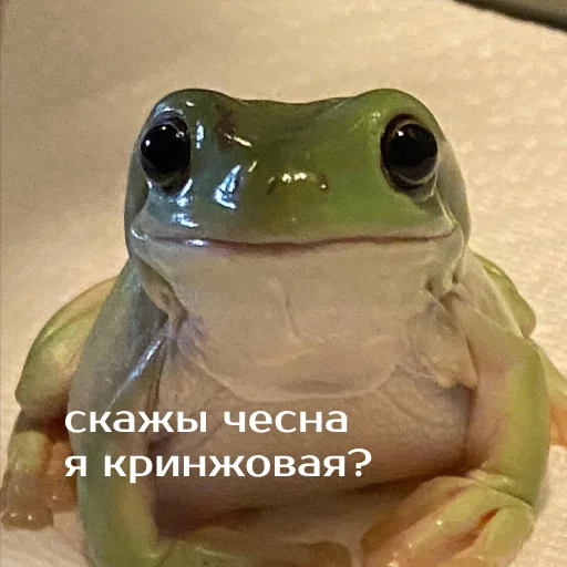 🥴 Стикер «Легущьки «Горящей избы» для Telegram