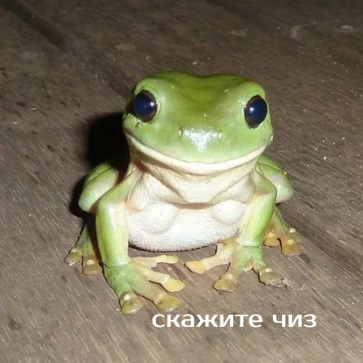 😁 Стикер «Легущьки «Горящей избы» для Telegram