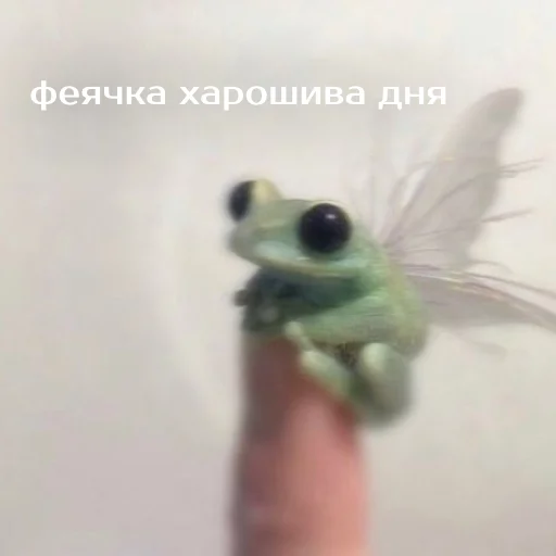 🧚 Стикер «Легущьки «Горящей избы» для Telegram