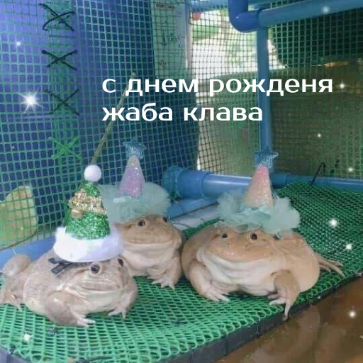 🎊 Стикер «Легущьки «Горящей избы» для Telegram