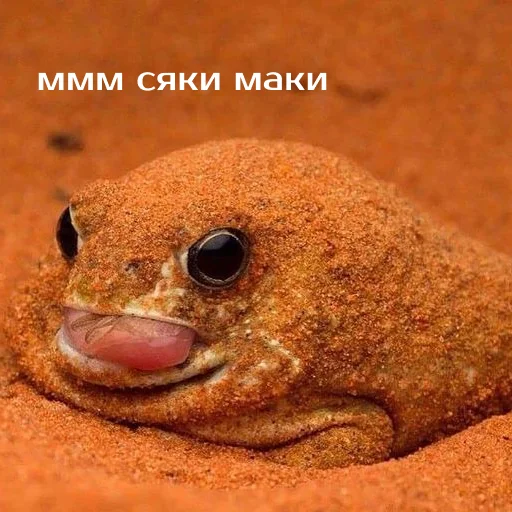 🤤 Стикер «Легущьки «Горящей избы» для Telegram
