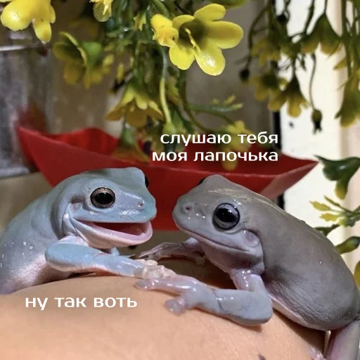 🥺 Стикер «Легущьки «Горящей избы» для Telegram