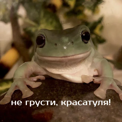 ❤️ Стикер «Легущьки «Горящей избы» для Telegram