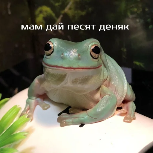 💳 Стикер «Легущьки «Горящей избы» для Telegram