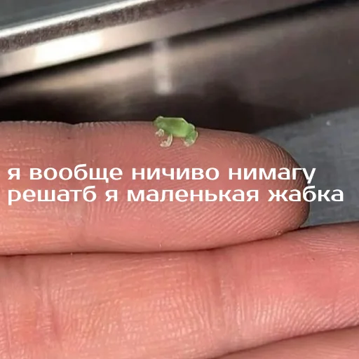 😭 Стикер «Легущьки «Горящей избы» для Telegram