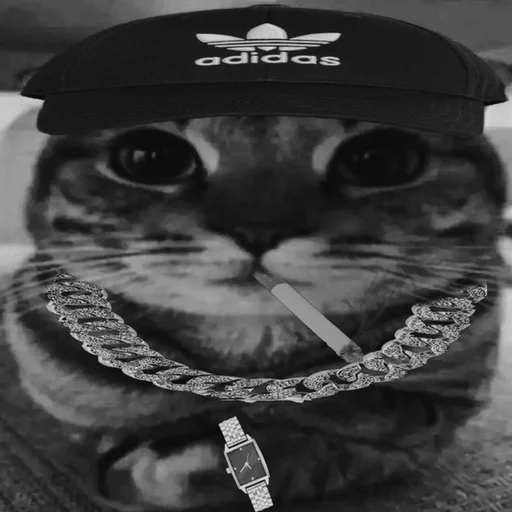 👿 Стикер «Izzy&;s Corporation» для Telegram