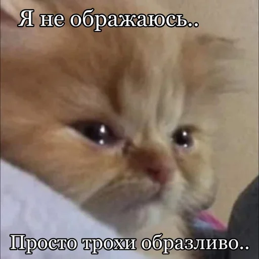 🥹 Стикер «разве не мило?» для Telegram