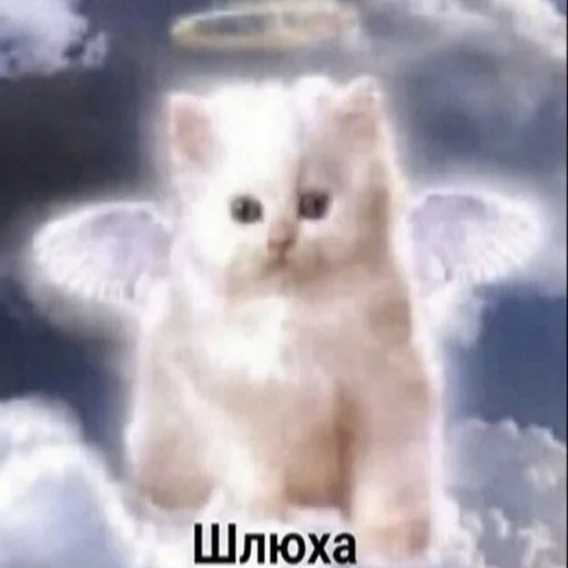 😇 Стикер «разве не мило?» для Telegram