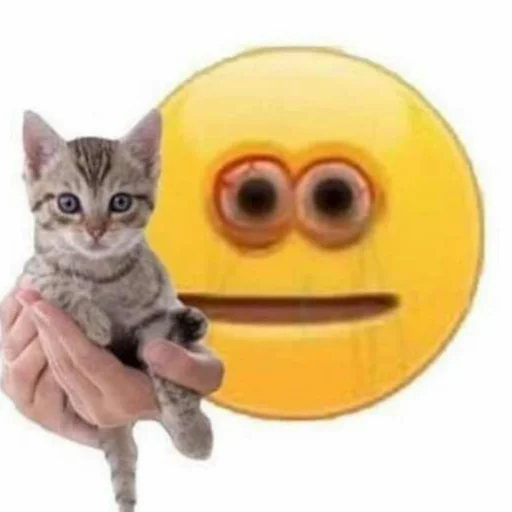🐱 Стикер «разве не мило?» для Telegram