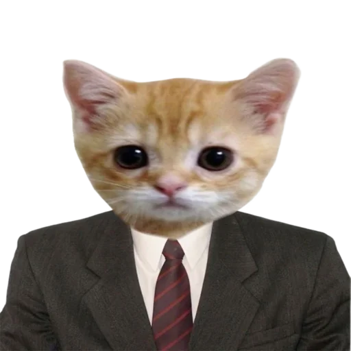 👨‍⚖️ Стикер «Animals» для Telegram
