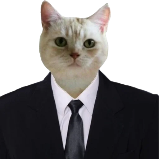 👨‍⚖️ Стикер «Animals» для Telegram