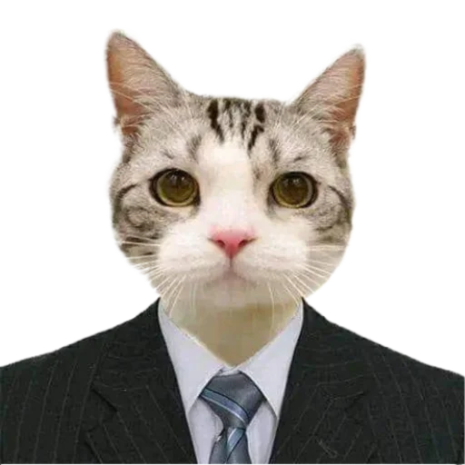 👨‍⚖️ Стикер «Animals» для Telegram