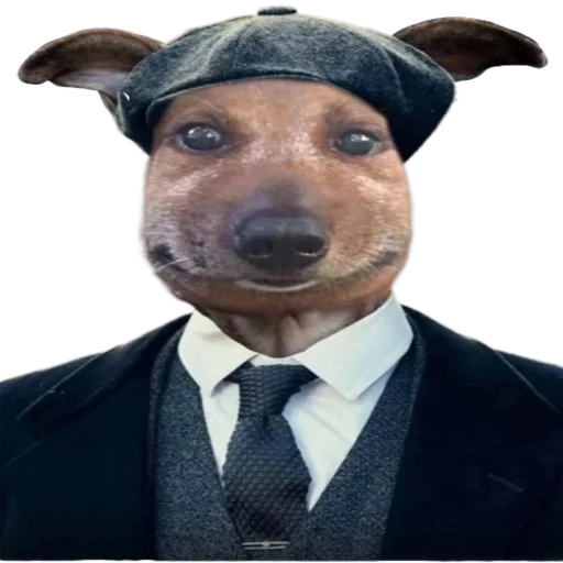 👨‍⚖️ Стикер «Animals» для Telegram
