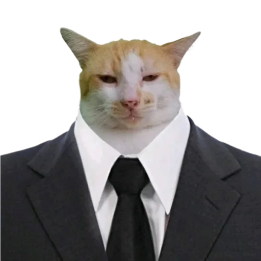 👨‍⚖️ Стикер «Animals» для Telegram