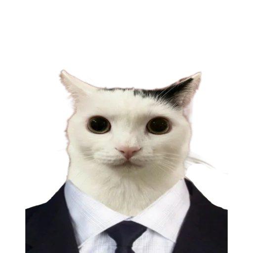 👨‍⚖️ Стикер «Animals» для Telegram