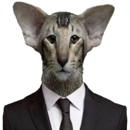👨‍⚖️ Стикер «Animals» для Telegram