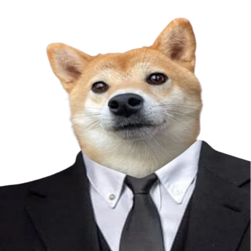 👨‍⚖️ Стикер «Animals» для Telegram