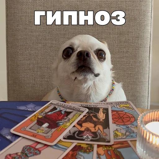 😵‍💫 Стикер «Джеки Чан» для Telegram