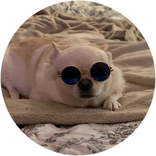 😎 Стикер «Джеки Чан» для Telegram
