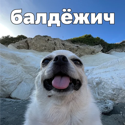 😇 Стикер «Джеки Чан» для Telegram