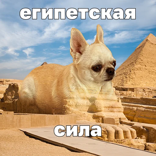 🫡 Стикер «Джеки Чан» для Telegram