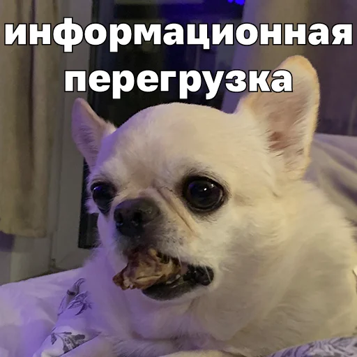 🥶 Стикер «Джеки Чан» для Telegram