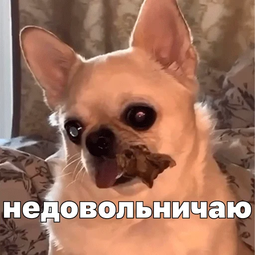 🥲 Стикер «Джеки Чан» для Telegram