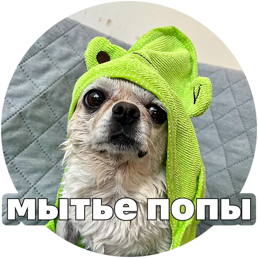 🧼 Стикер «Джеки Чан» для Telegram