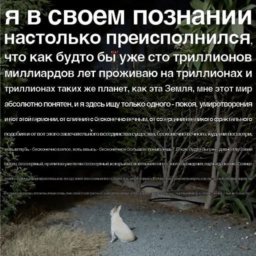 🧠 Стикер «Джеки Чан» для Telegram
